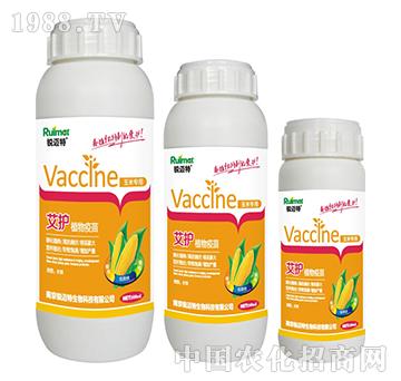 ���o(h��)ֲ���������׌���-