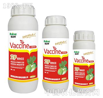 ���o(h��)ֲ�������~�ˌ���-