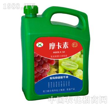 �����־����AҺ-Ħ����