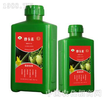 ������������������Һ��