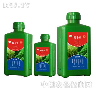 �۲ˌ��ð���������Һ��