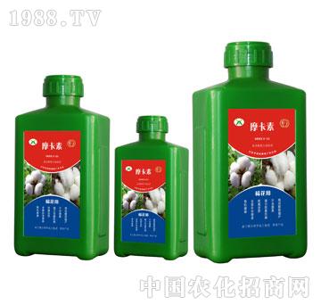 �޻����ð���������Һ��