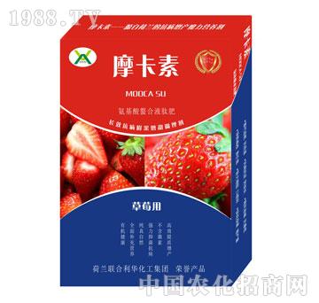 ��ݮ���ð���������Һ��