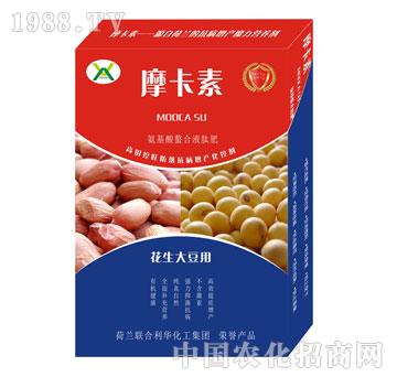 �����󶹌��ð���������