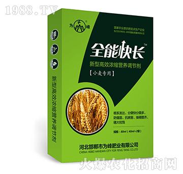 ȫ�ܿ��L(zh��ng)��С����(zhu��n)�ã�-