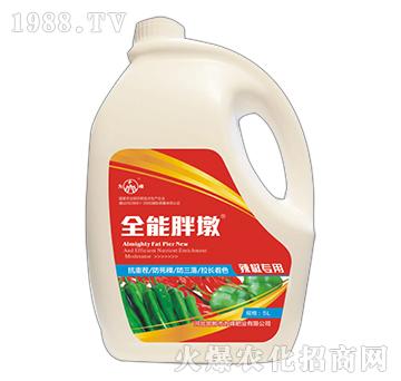 ȫ���ֶ�-������(zhu��n)��-��