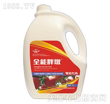 ȫ���ֶ�-����(sh��)��(zhu��n)��-��