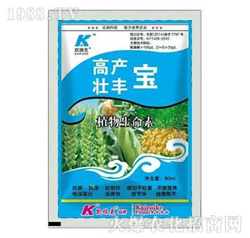 �߮a(ch��n)���S��-�P���