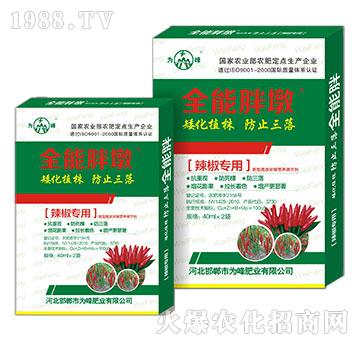 ȫ���ֶ�-������(zhu��n)��-��