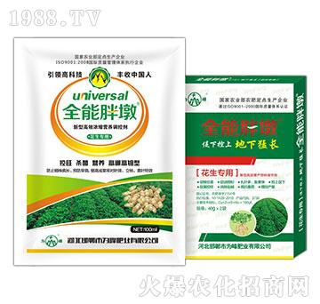 ������(zhu��n)��-ȫ���ֶ�-��