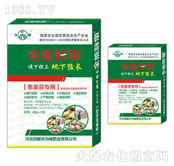 �[���⌣(zhu��n)��-ȫ���ֶ�-