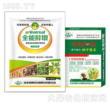 ��ˎ�Č�(zhu��n)��-ȫ���ֶ�-