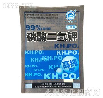 ���ڼ���������-һ��