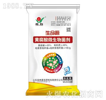 ����Դ�S����΢�������