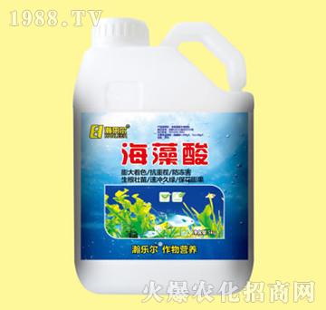 ������5kg-嫘�(l��)��