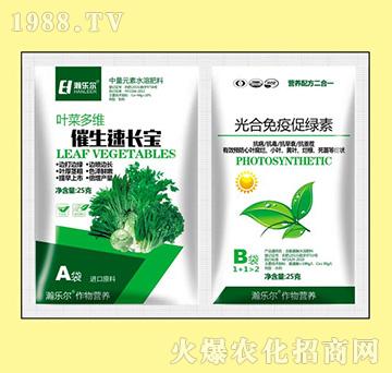 �������L��+������ߴپG��-嫘���