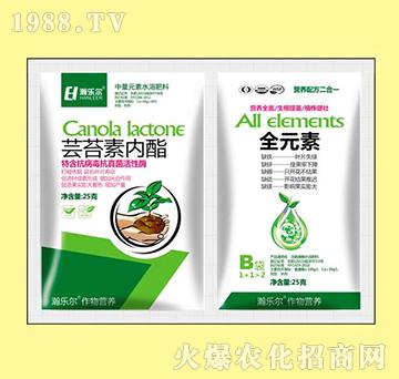 �|̦�؃�(n��i)��+ȫԪ��-嫘�(l��)��