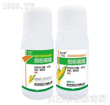 40%���׻�¡-�����r