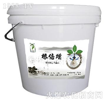 ���Ǹ�����-���ǻ��r(n��ng)