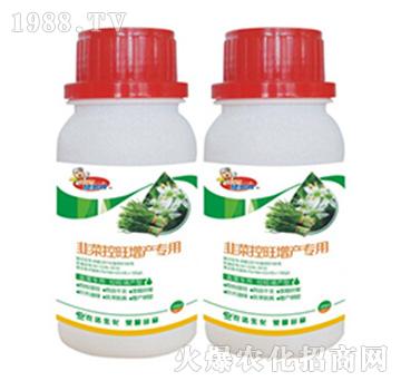 �²˿������a(ch��n)����-����