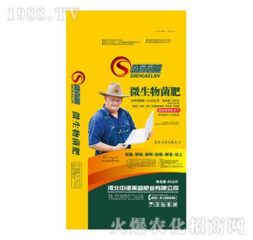 ʢ���m΢�������