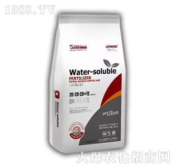 ƽ��ˮ�ܷ�20-20-20+TE