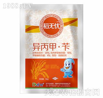 20%�����ס��S-���o(w��)�n-�h(yu��n)Ҋ�r(n��ng)�I(y��)