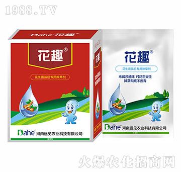 花趣-遠(yuǎn)見(jiàn)農(nóng)業(yè)