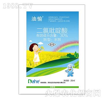 30%二氯吡啶酸-油愉-遠(yuǎn)見農(nóng)業(yè)