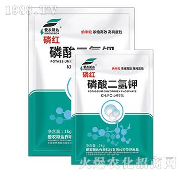 ��������-�׼t-��(��i)�r(n��ng)˹�_(d��)