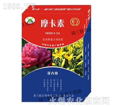 �����ð���������Һ�ķ�-Ħ����-��(qi��ng)о���H