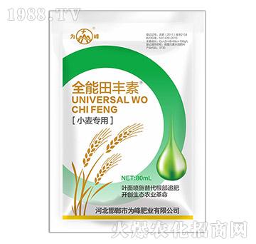 С����(zhu��n)��ȫ�����S��-��