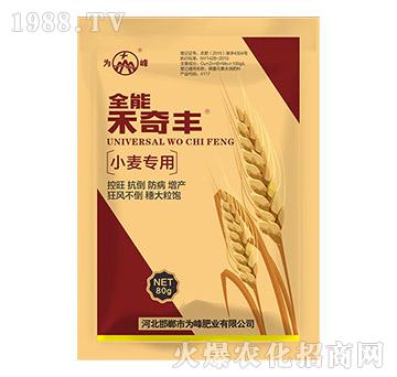 С����(zhu��n)��ȫ�ܺ����S-��