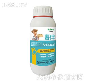 ����-�J�~��