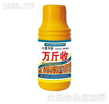 �f����-�����r(n��ng)��