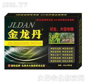 ������-�������󶹌�(zhu��n)��-�����r(n��ng)��