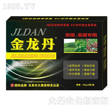 ɣ�茣��-�����r��