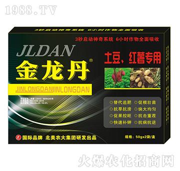 �������������t�팣��-�����r��