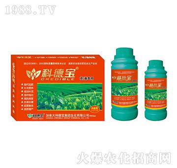 ����ɣ���àI�B(y��ng)���a(ch��n)�{(di��o)�턩-�Ƶ�