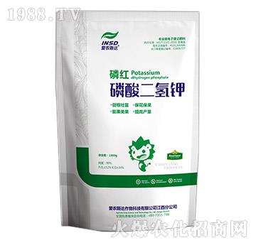 ��������-�׼t-���r(n��ng)˹�_(d��)