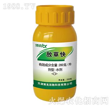 200��ÿ�����ݿ�-��