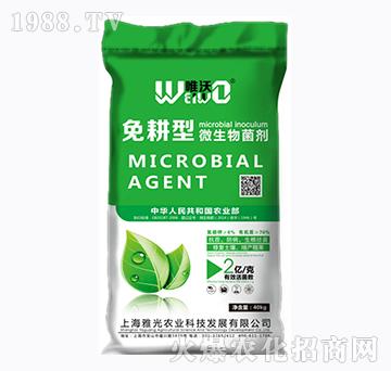 ����������ЙC��-Ψ��-�Ź��r�I(y��)