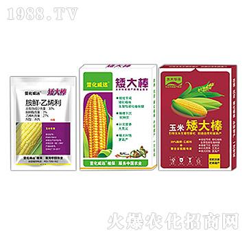 �������L�{(di��o)��(ji��)��-�����