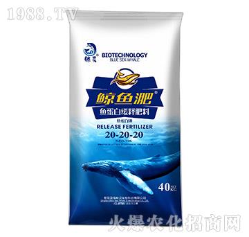 �~���׾�ጷ���20-20-20-�L�~��-����