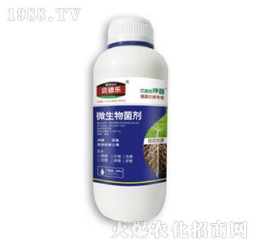 ������������΢�������-�����쿵-ؐ��(l��)