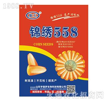 �\�C558-����-���������