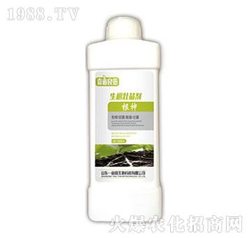 �������焩-Ҽ������