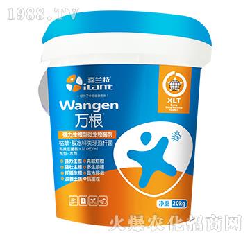 ��(qi��ng)��������΢�������-�f(w��n)��-ϲ�m��