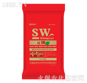 �t�-ɽ������