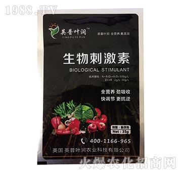 ����̼���-Ӣ���~��(r��n)